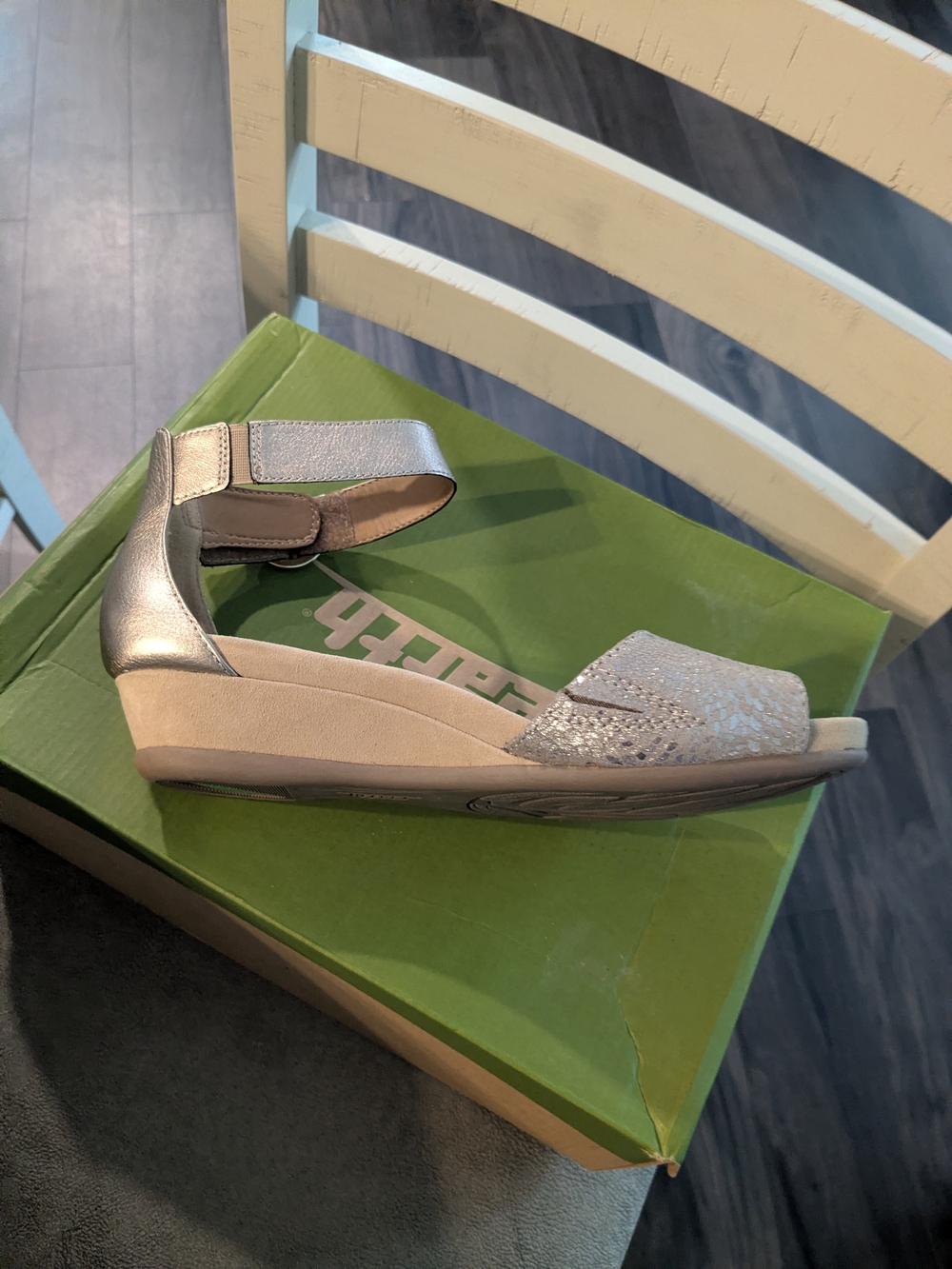 Earth Silver Espadrille Wedge Sandal
